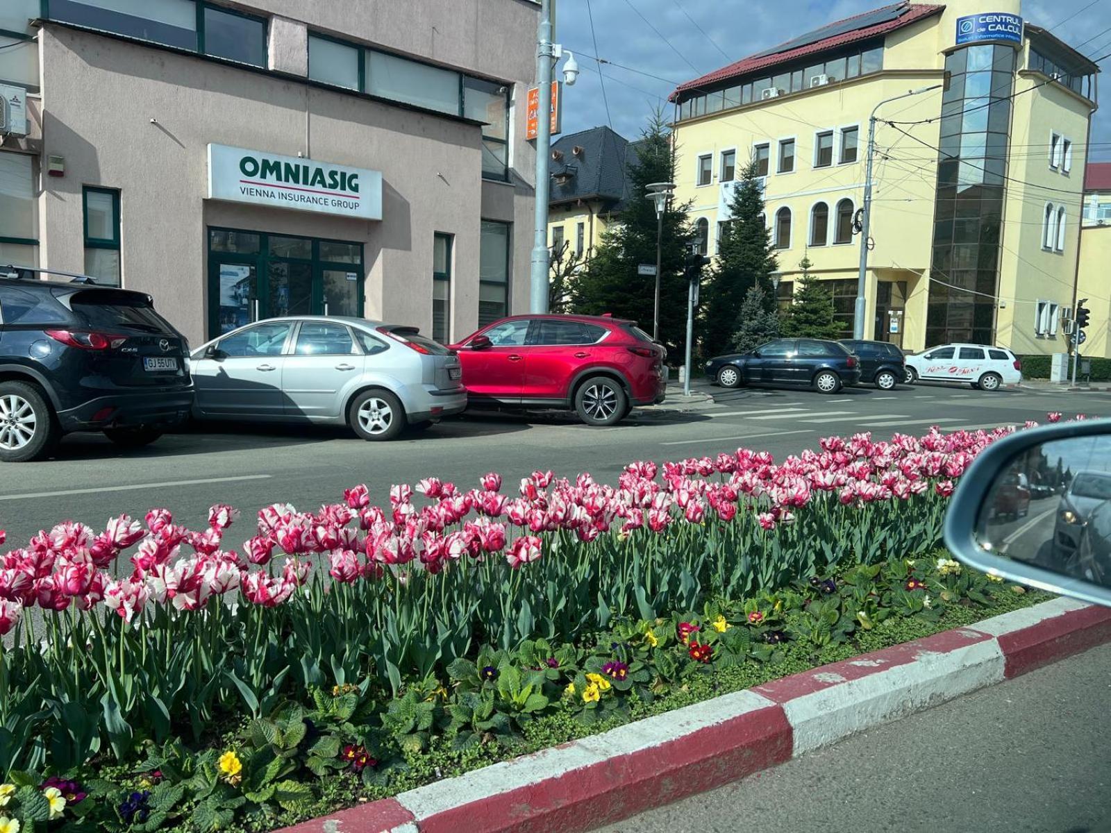 Târgu Jiu Central-Home מראה חיצוני תמונה